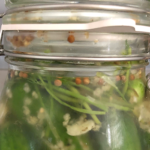 An overabundance of cucumbers put Sara Baliti in a pickle.