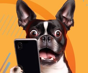 Dog looks up from phone with look of surprise