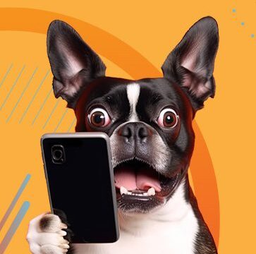 Dog looks up from phone with look of surprise