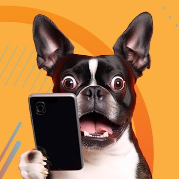 Dog looks up from phone with look of surprise