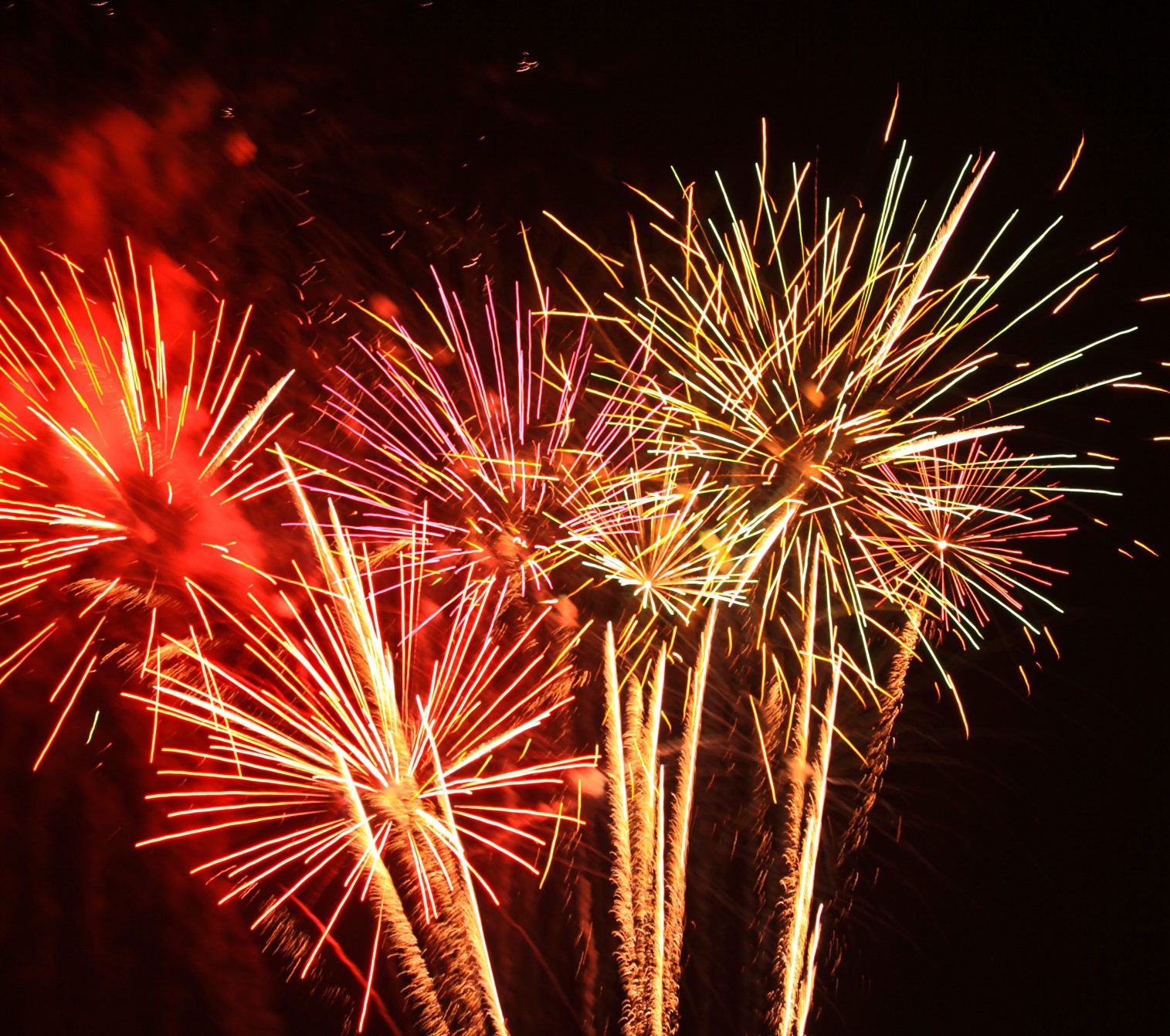Fireworks before black background.